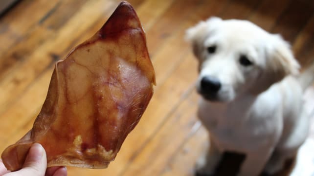 are pork skins bad for dogs